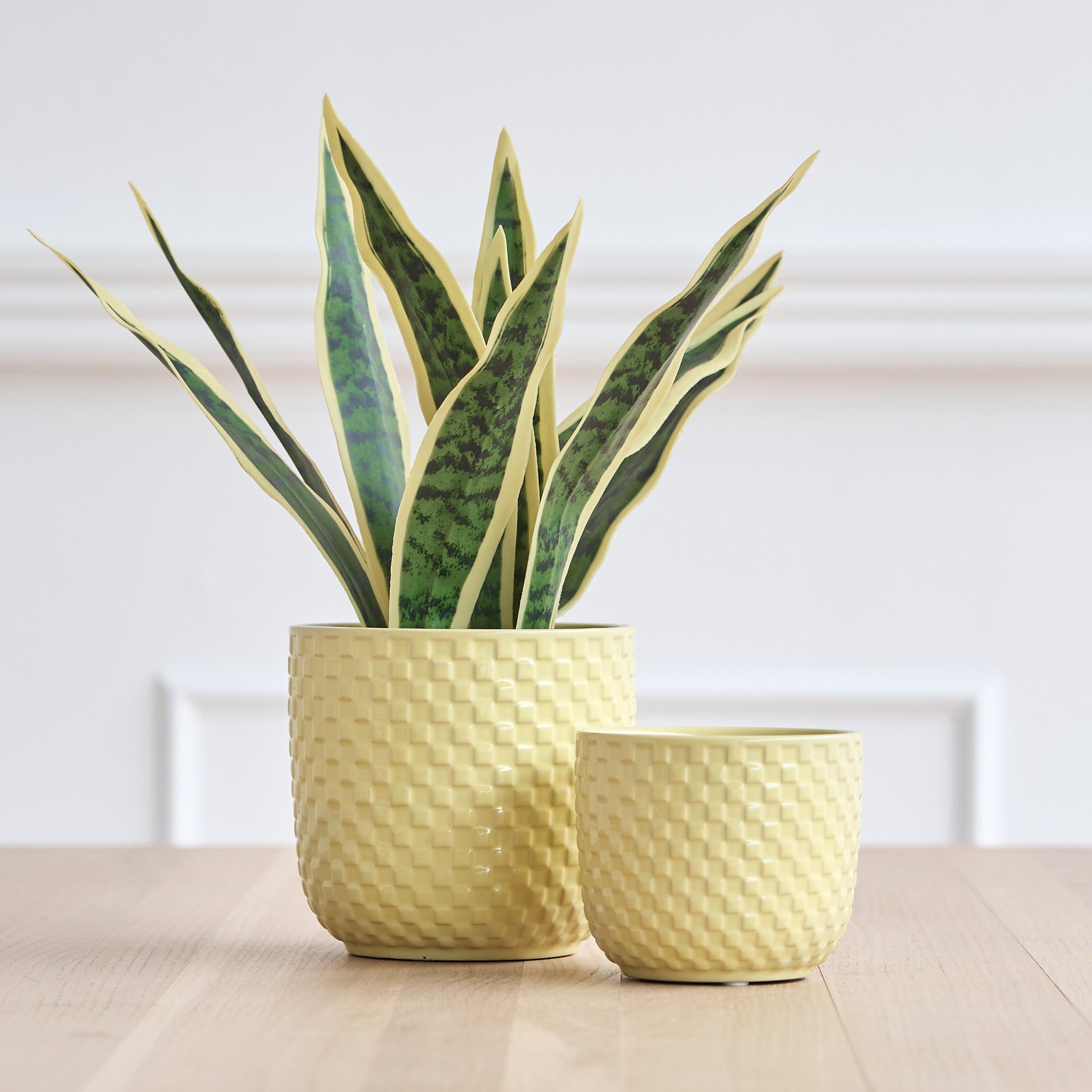 Sava Blumentopf D10.8 cm